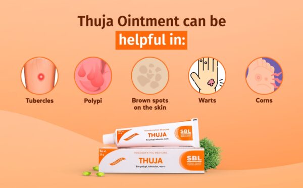 Thuja Ointment - Image 3