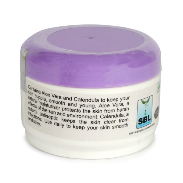 Silk n Stay Aloevera Cream (For Normal and Oily Skin) Jar - Image 2