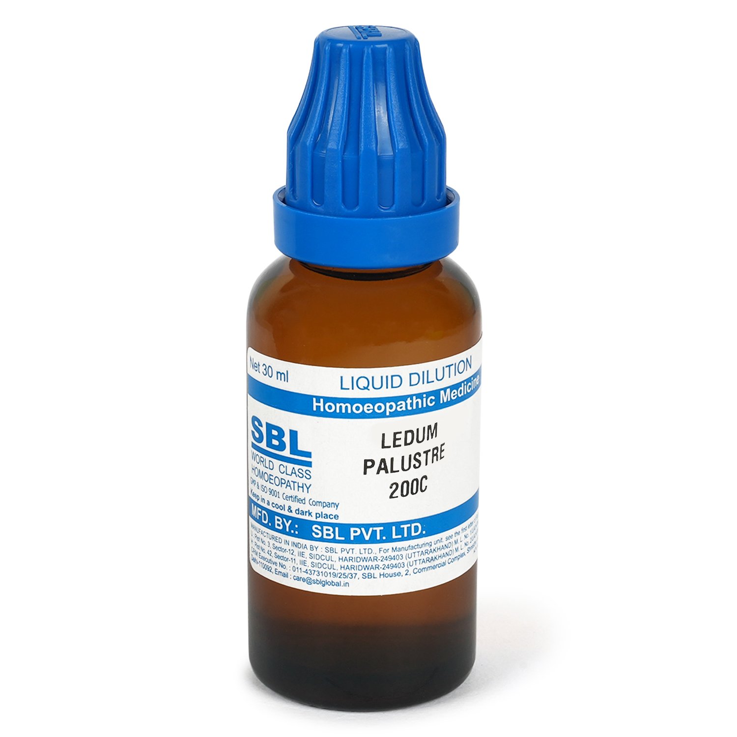LEDUM PALUSTRE - Image 4