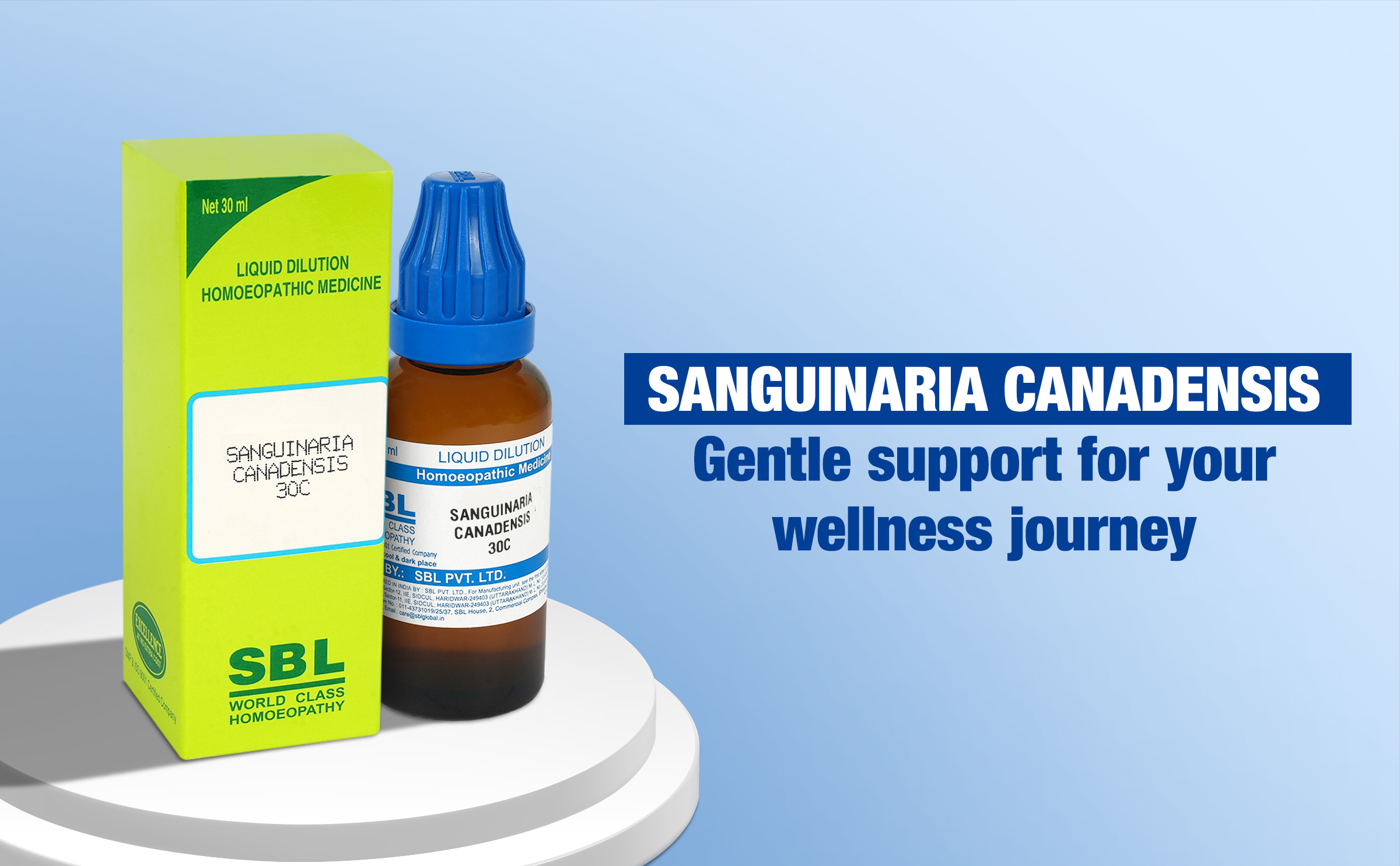 SANGUINARIA CANADENSIS Dilution - Image 5