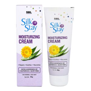 Silk' n Stay Moisturizing Cream (Normal/Oily Skin)