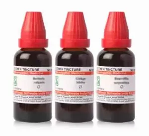 Lavandula angustifolia MT