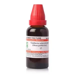 Gaultheriae aetheroleum (Oleum gaultheriae) MT