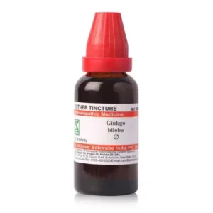 Ginkgo biloba MT