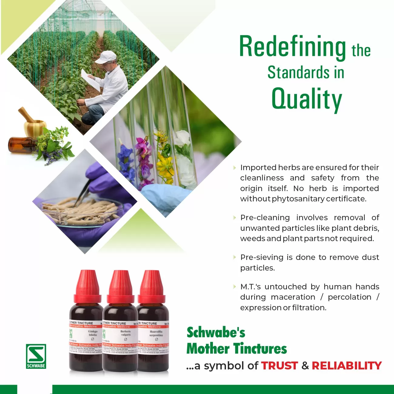 Oleum santali MT - Image 3