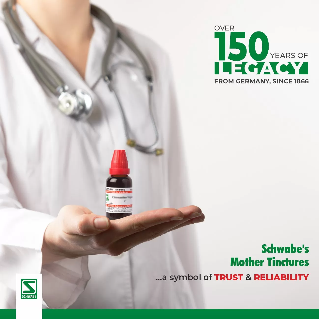 Cephalandra indica MT - Image 4