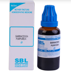 SARRACENIA PURPUREA