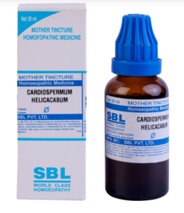 CARDIOSPERMUM HELICACABUM