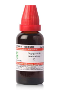 Fagopyrum esculentum MT